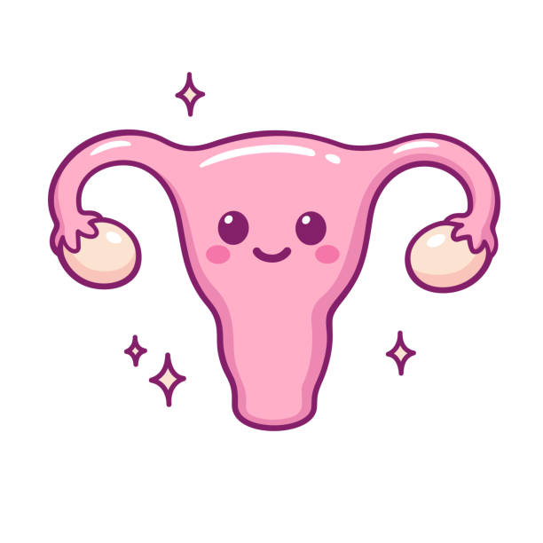 Cuidado menstrual
